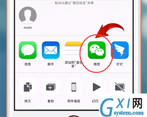 在苹果手机中将Live Photos照片发送给微信好友的详细操作截图