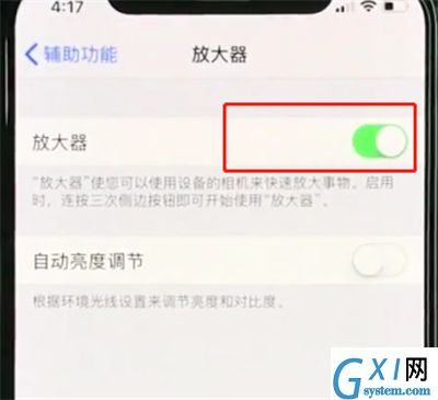 iphonexs使用放大器的详细操作截图