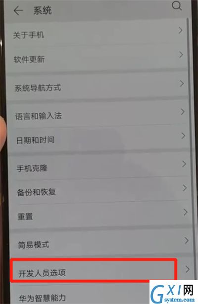 华为p30pro中将开发人员选项关闭的操作方法截图