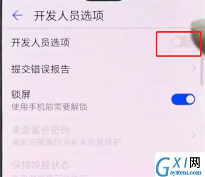 华为p20pro中打开开发者选项的简单方法截图