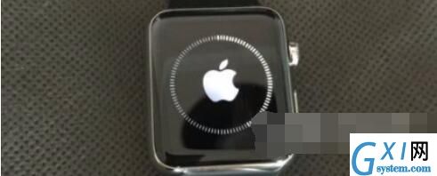 Applewatchseries6怎么更新系统？Applewatchseries6更新系统教程截图