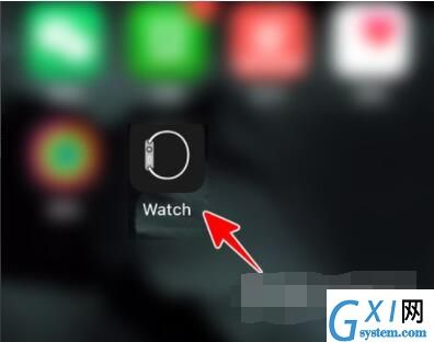 AppleWatch如何升级到watchOS8？AppleWatch升级到watchOS8教程