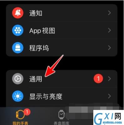 AppleWatch如何升级到watchOS8？AppleWatch升级到watchOS8教程截图