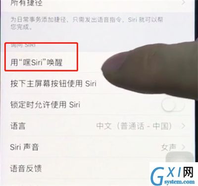 ios12中打开siri的详细步骤截图