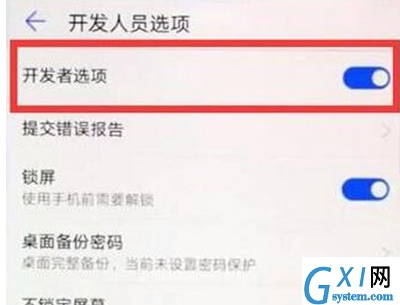 华为麦芒8找到开发人员选项位置的相关操作方法截图