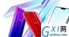 vivo Z3x查看内存的基础操作