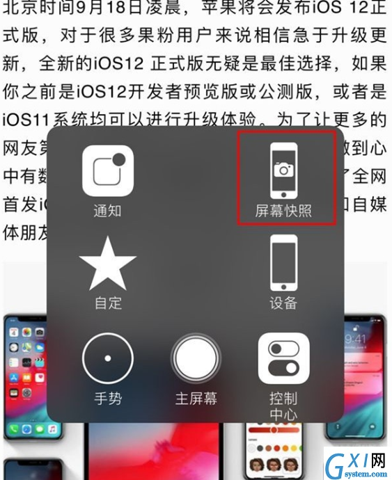 iphonexs截屏快捷键的使用教程截图