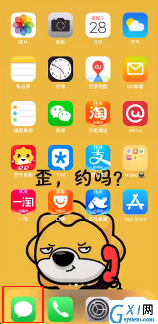 苹果中关闭语音信箱的操作教程截图