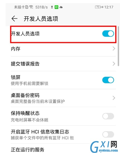 荣耀20青春版中打开开发者选项的操作教程截图