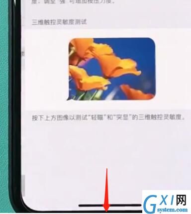 iphonexr中开启半屏功能的简单步骤截图