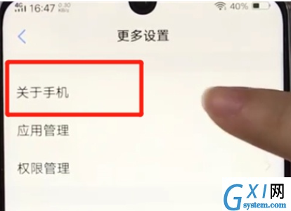 vivoz3打开开发者选项的操作教程截图