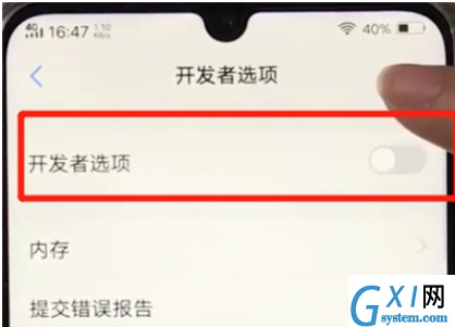 vivoz3打开开发者选项的操作教程截图