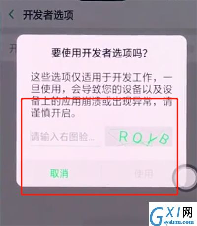 oppo手机中打开开发者选项的详细步骤截图