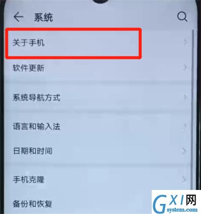 荣耀20i中进入开发者模式的操作方法截图