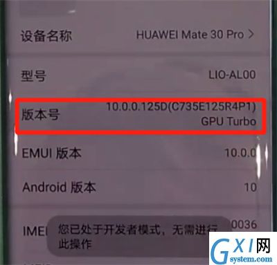 华为mate30pro中开启开发人员选项的操作教程截图