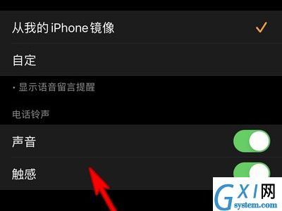 apple watch怎么改铃声？apple watch改铃声教程截图