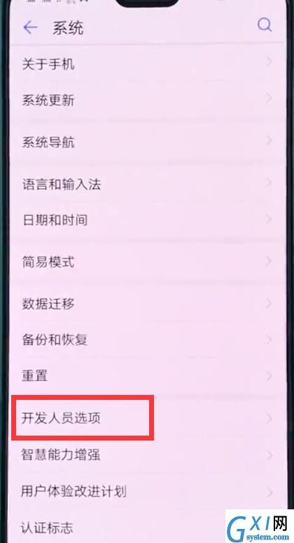 华为p20中打开开发人员选项的操作步骤截图
