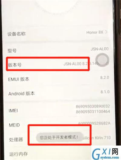 荣耀8x打开开发者模式的操作教程截图