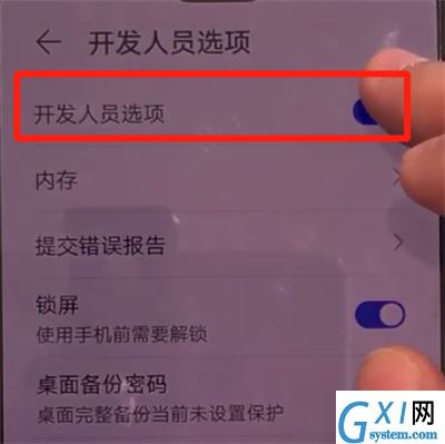 华为mate30中关闭开发人员选项的操作教程截图