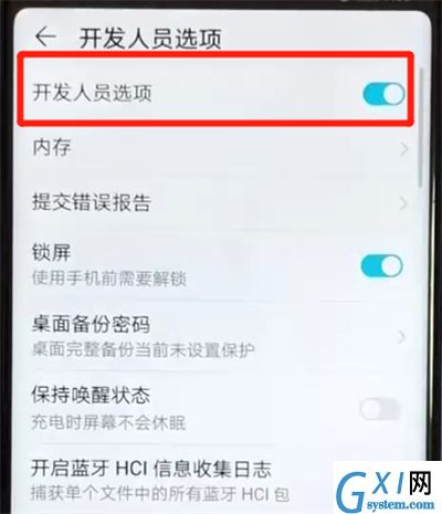 荣耀v20打开开发者选项的操作步骤截图