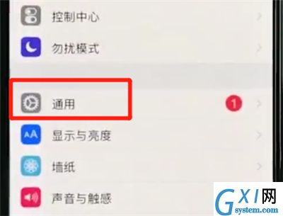 iphonexs中使用缩放的操作教程截图