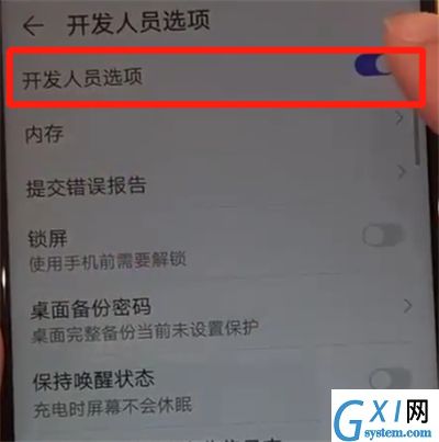 华为nova4中开启开发者选项的操作教程截图