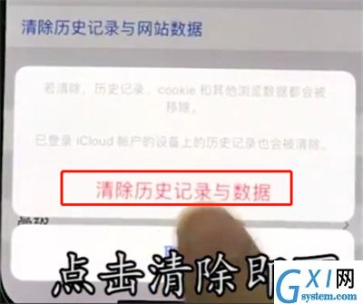 iphonex中清除Safari浏览器历史记录的操作步骤截图