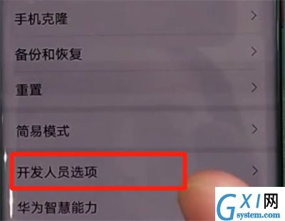 华为mate30pro中关闭开发人员选项的操作教程截图