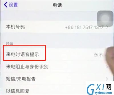 ios12中打开来电语音播报的详细步骤截图