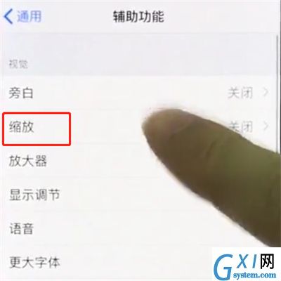 iphonex中使用缩放的操作步骤截图