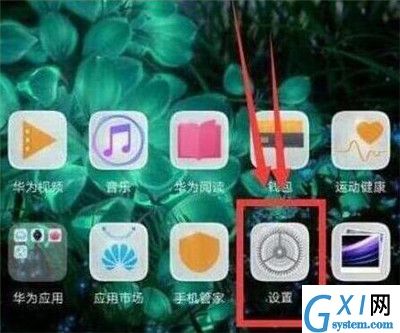 在华为畅享9s中记步数的方法介绍截图