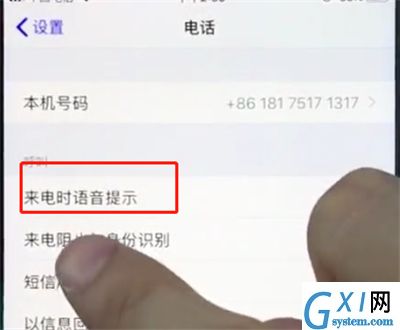 苹果8plus中打开来电语音提醒的简单方法截图