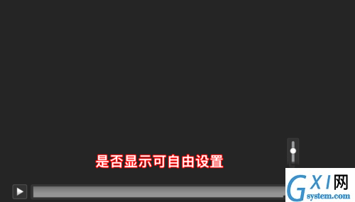 PPT不显示视频进度条及音量的处理操作步骤截图