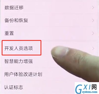 华为p20pro中打开开发者选项的简单方法截图