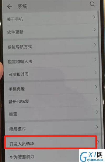 华为p30中退出开发者选项的操作教程截图