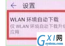 荣耀20pro将系统自动更新关闭的具体使用教程截图