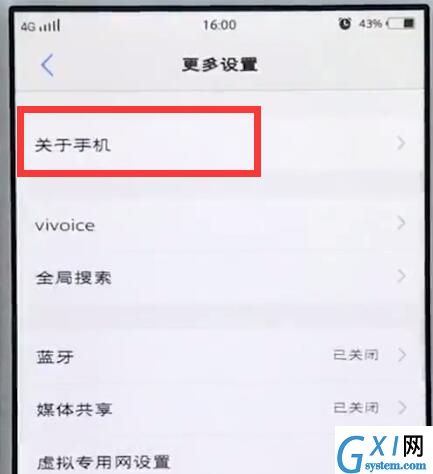 vivo手机中查看运行内存的详细方法截图