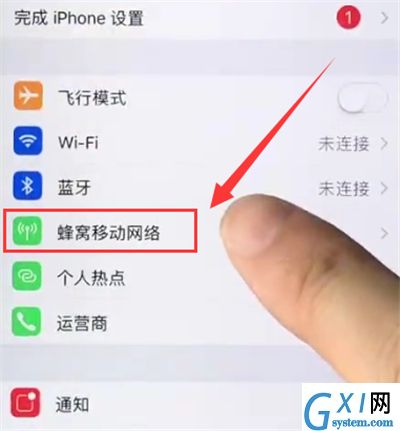 苹果6plus关闭APP使用移动数据的操作方法截图