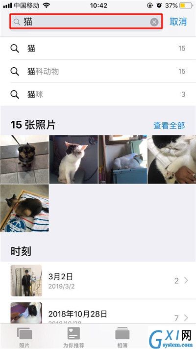 在iPhoneXs Max中搜索照片的具体操作方法截图