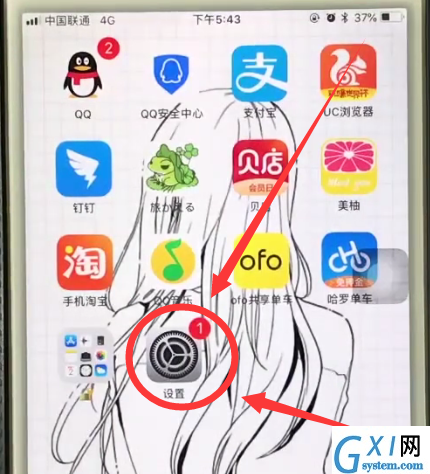 iphone6中查看序列号的简单步骤截图