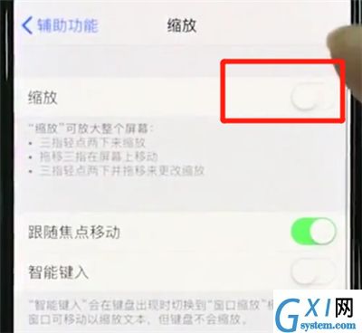 iphonexs中使用缩放的操作教程截图