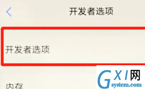 vivoz3开启开发者选项的操作流程截图