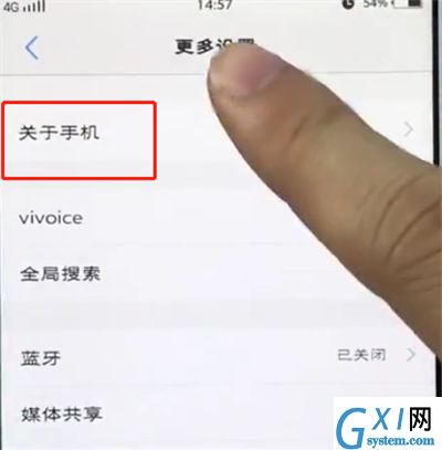 vivo手机中打开开发者选项的简单步骤截图