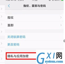 vivoz3x加密应用的相关操作介绍截图