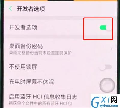 oppor15中开启开发者选项的详细步骤截图