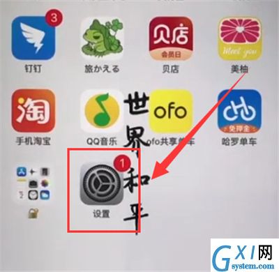 苹果6plus中开启振动的简单步骤截图