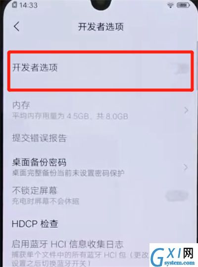 iqoo手机中打开开发者模式的简单操作方法截图