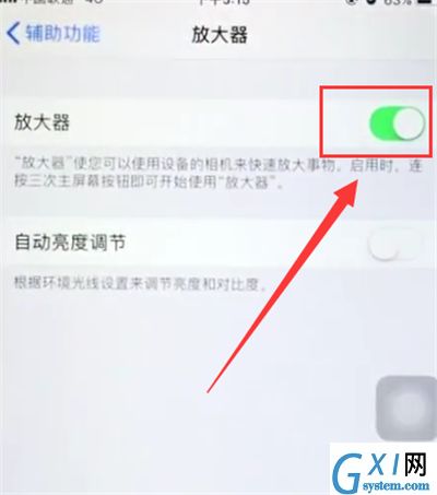 苹果6plus中打开放大器的简单操作截图