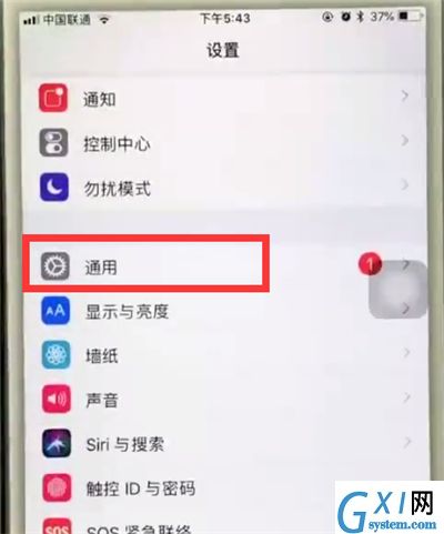 苹果6plus中使用缩放的操作步骤截图