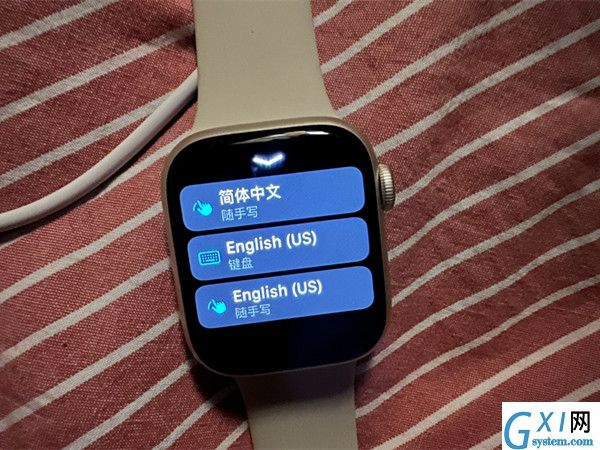 苹果手表输入法在哪里设置？苹果手表输入法设置教程截图